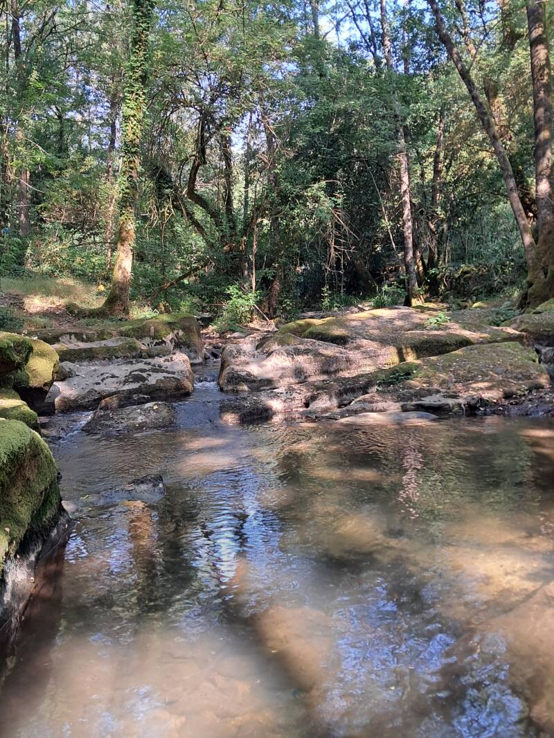 La rivière du Moulin d'Ozon