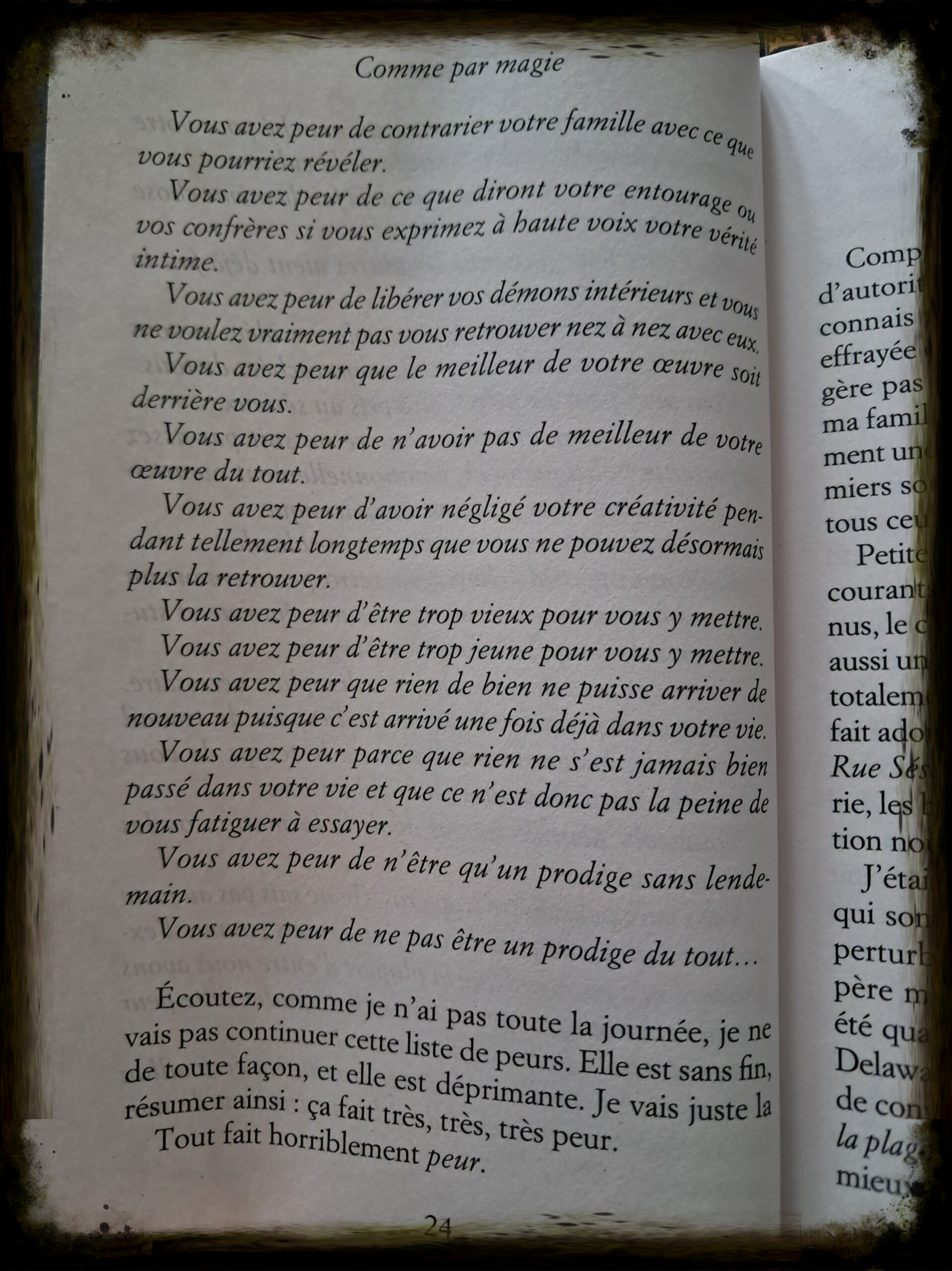 Elisabeth GILBERT - Comme par Magie - Les peurs