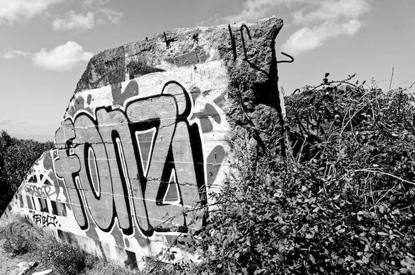 Fonzi