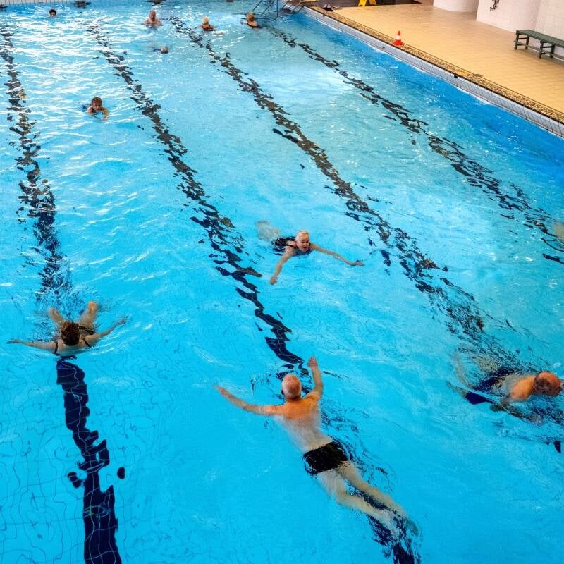 triatlon-foar-elkenien-standard.jpg