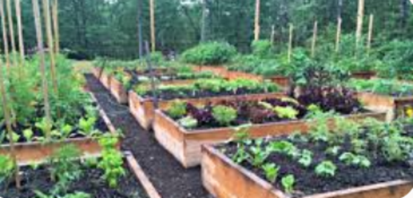 Custom Planting Guide PDF