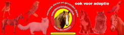 Vriendenclubkoosenrimmie-voor-de-dieren