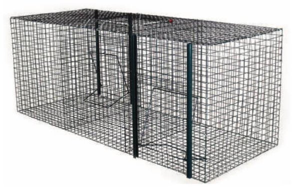 Piège à corbeau