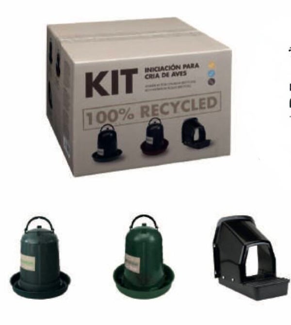 Kit initiation poule