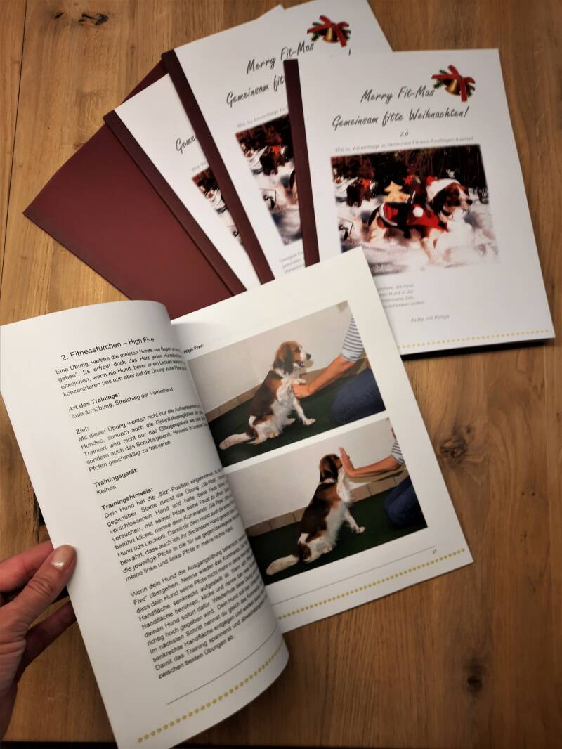 Merry Fit-Mas, gemeinsam fitte Weihnachten, Adventkalender ohne Leckerlis, Cavaletti-Training, HundFit-Walk, Trainingsraum Natur, Trainingsraum Wald, Fitnesstraining für den Hund, Hundfit, Hundefitnessschule, Hundefitness, Fitnessübungen, Fitnessschule, F