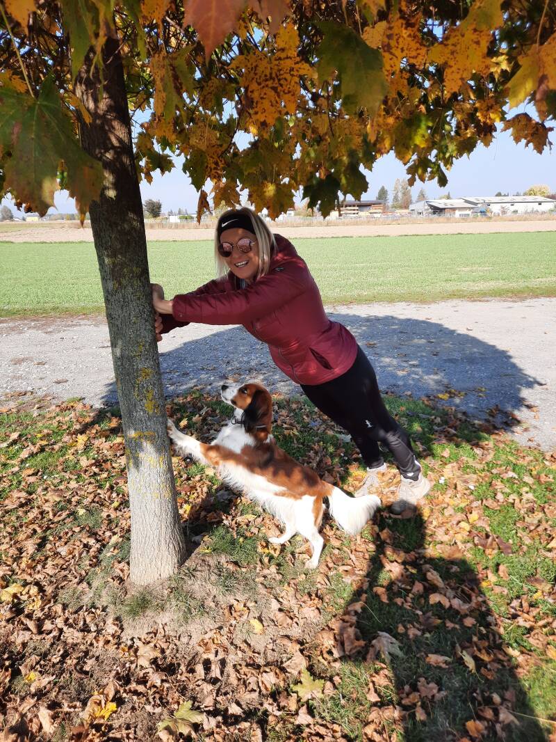 Neujahrswalk, Merry Fit-Mas, gemeinsam fitte Weihnachten, Adventkalender  für Hunde ohne Leckerlis, Welpentraining, Cavaletti-Training, HundFit-Walk, Trainingsraum Natur, Trainingsraum Wald, Fitnesstraining für den Hund, Hundfit, Hundefitnessschule, Hunde