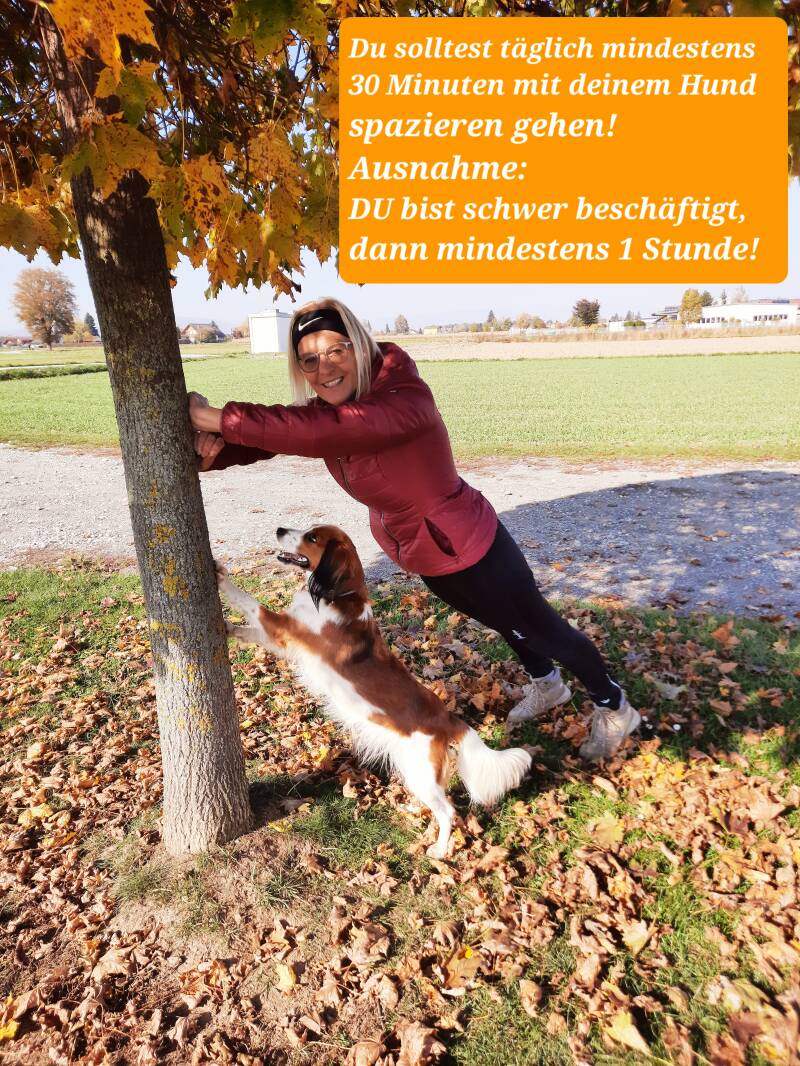 Hotel Gollner, HundFIT, Hunde-Fitness-Schule, Hundefitnesschule, Lackifitness, Neujahrswalk, Merry Fit-Mas, gemeinsam fitte Weihnachten, Adventkalender  für Hunde ohne Leckerlis, Welpentraining, Cavaletti-Training, HundFit-Walk, Trainingsraum Natur, Train