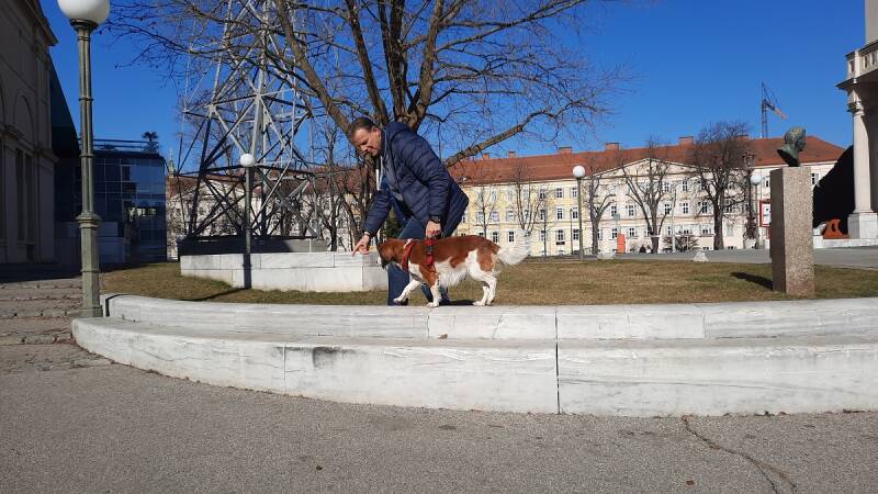 Hotel Gollner, HundFIT, Hunde-Fitness-Schule, Hundefitnesschule, Lackifitness, Neujahrswalk, Merry Fit-Mas, gemeinsam fitte Weihnachten, Adventkalender  für Hunde ohne Leckerlis, Welpentraining, Cavaletti-Training, HundFit-Walk, Trainingsraum Natur, Train