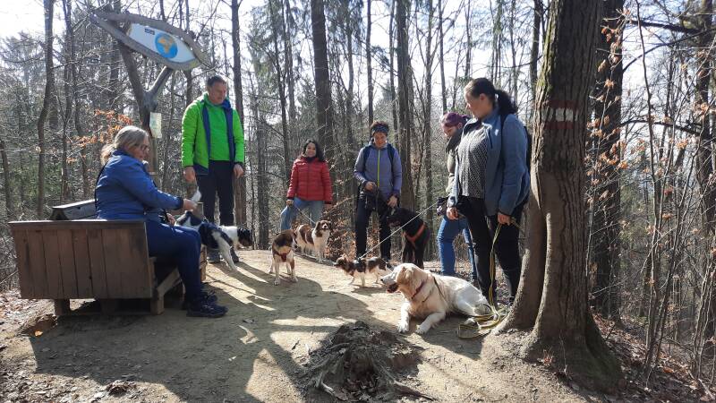 Hundeturnen, Hundfit-Trick-Walk, Lacki-Fitness, Hundehotel, Hundefitnesstraining, Hundfit-Walk, Merry Fit-Mas, gemeinsam fitte Weihnachten, Adventkalender  für Hunde ohne Leckerlis, Welpentraining, Cavaletti-Training,  Trainingsraum Natur, Hundefitnesssch