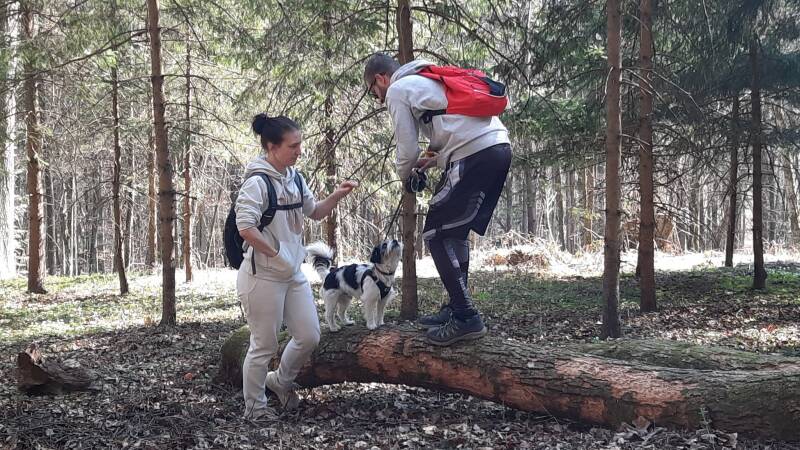 Hotel Loisium Ehrenhausen, Hundfit-Trick-Walk, Lacki-Fitness, Hundehotel, Hundefitnesstraining, Hundfit-Walk, Merry Fit-Mas, gemeinsam fitte Weihnachten, Adventkalender  für Hunde ohne Leckerlis, Welpentraining, Cavaletti-Training,  Trainingsraum Natur, H