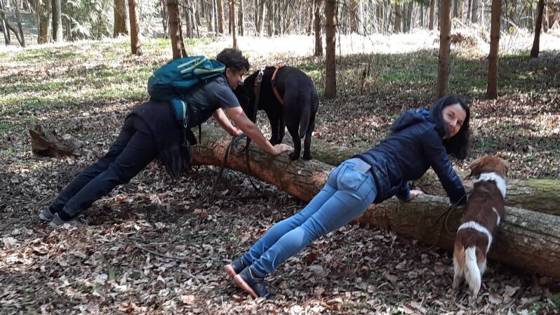 Hotel Loisium Ehrenhausen, Hundfit-Trick-Walk, Lacki-Fitness, Hundehotel, Hundefitnesstraining, Hundfit-Walk, Merry Fit-Mas, gemeinsam fitte Weihnachten, Adventkalender  für Hunde ohne Leckerlis, Welpentraining, Cavaletti-Training,  Trainingsraum Natur, H