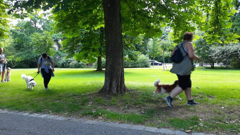 Fit und stark im Stadtpark, Hotel Gollner, Hundfitwalk Adventure, Hundfit durch den Herbst, Homeschooling, Hundfit durch den Sommer, Hundeturnen, Hundfit-Trick-Walk, Lacki-Fitness, Hundehotel, Hundefitnesstraining, Hundfit-Walk, Merry Fit-Mas, gemeinsam f