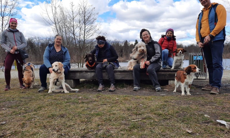 Hundeturnen, Hundfit-Trick-Walk, Lacki-Fitness, Hundehotel, Hundefitnesstraining, Hundfit-Walk, Merry Fit-Mas, gemeinsam fitte Weihnachten, Adventkalender  für Hunde ohne Leckerlis, Welpentraining, Cavaletti-Training,  Trainingsraum Natur, Hundefitnesssch