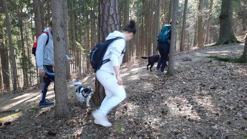 Hundeturnen, Hundfit-Trick-Walk, Lacki-Fitness, Hundehotel, Hundefitnesstraining, Hundfit-Walk, Merry Fit-Mas, gemeinsam fitte Weihnachten, Adventkalender  für Hunde ohne Leckerlis, Welpentraining, Cavaletti-Training,  Trainingsraum Natur, Hundefitnesssch