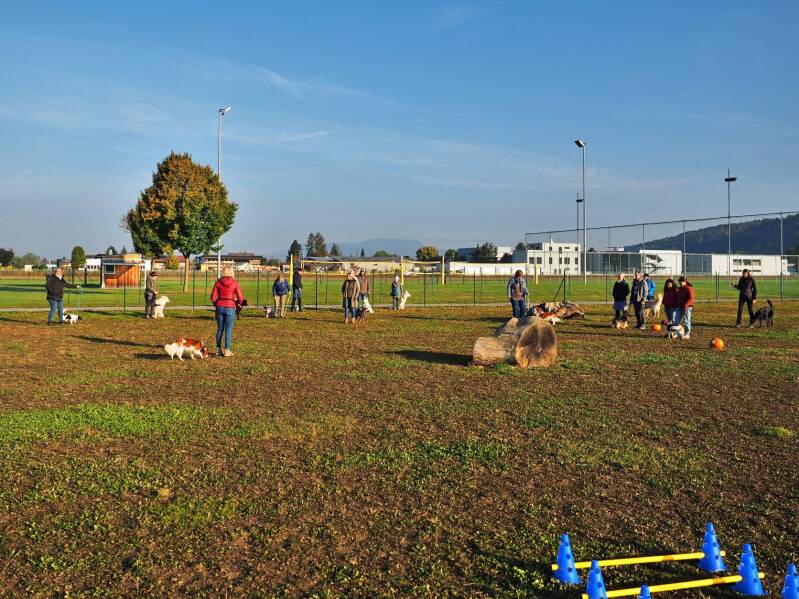 Merry Fit-Mas, gemeinsam fitte Weihnachten, Adventkalender  für Hunde ohne Leckerlis, Welpentraining, Cavaletti-Training, HundFit-Walk, Trainingsraum Natur, Trainingsraum Wald, Fitnesstraining für den Hund, Hundfit, Hundefitnessschule, Hundefitness, Fitne