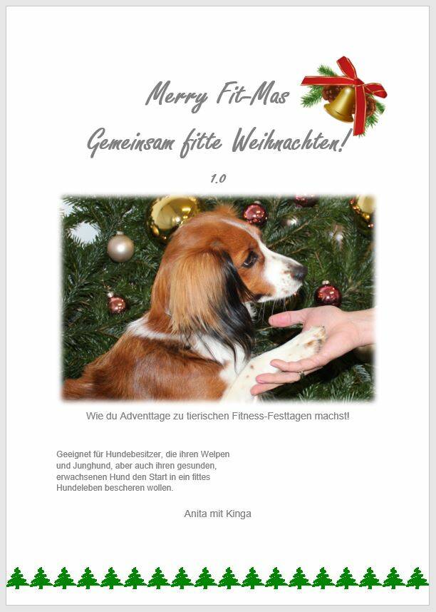 Merry Fit-Mas, gemeinsam fitte Weihnachten, Adventkalender für Hunde ohne Leckerlis, Cavaletti-Training, HundFit-Walk, Trainingsraum Natur, Trainingsraum Wald, Fitnesstraining für den Hund, Hundfit, Hundefitnessschule, Hundefitness, Fitnessübungen, Fitnes