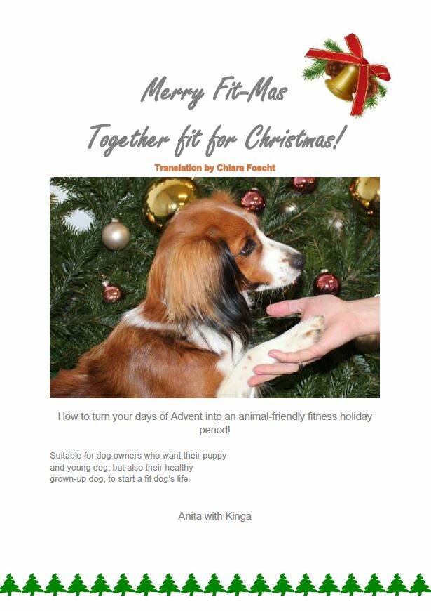 Merry Fit-Mas, gemeinsam fitte Weihnachten, Adventkalender ohne Leckerlis, Cavaletti-Training, HundFit-Walk, Trainingsraum Natur, Trainingsraum Wald, Fitnesstraining für den Hund, Hundfit, Hundefitnessschule, Hundefitness, Fitnessübungen, Fitnessschule, F