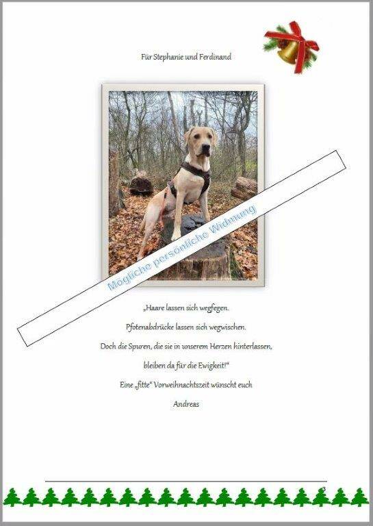 Merry Fit-Mas, gemeinsam fitte Weihnachten, Adventkalender für Hunde ohne Leckerlis, Cavaletti-Training, HundFit-Walk, Trainingsraum Natur, Trainingsraum Wald, Fitnesstraining für den Hund, Hundfit, Hundefitnessschule, Hundefitness, Fitnessübungen, Fitnes