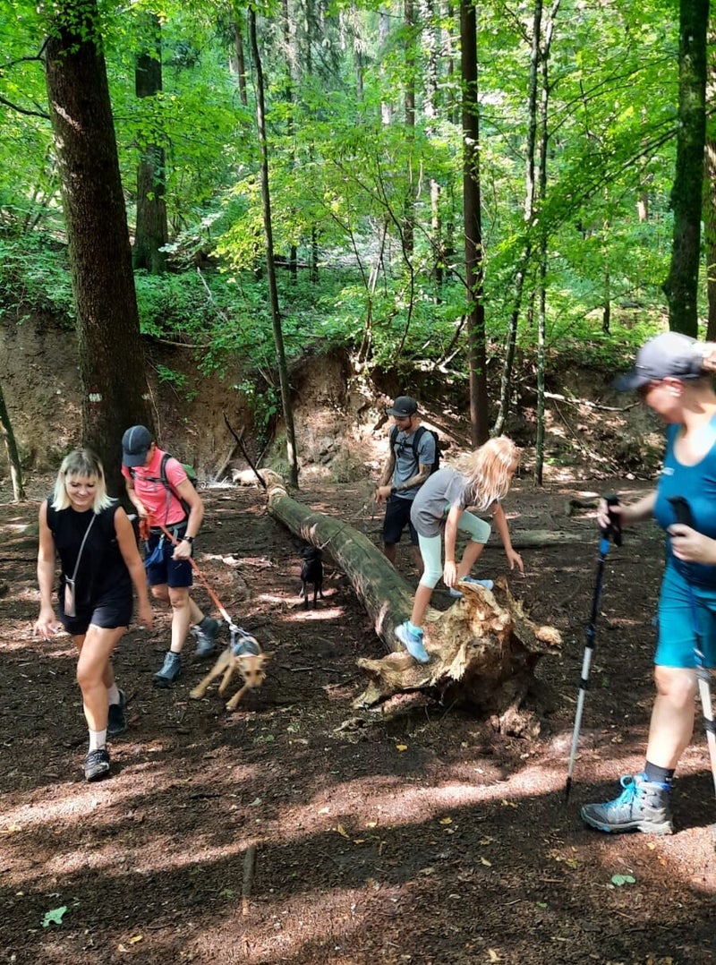 Hundfitwalk Adventure, Hundfit durch den Herbst, Homeschooling, Hundfit durch den Sommer, Hundeturnen, Hundfit-Trick-Walk, Lacki-Fitness, Hundehotel, Hundefitnesstraining, Hundfit-Walk, Merry Fit-Mas, gemeinsam fitte Weihnachten, Adventkalender  für Hunde