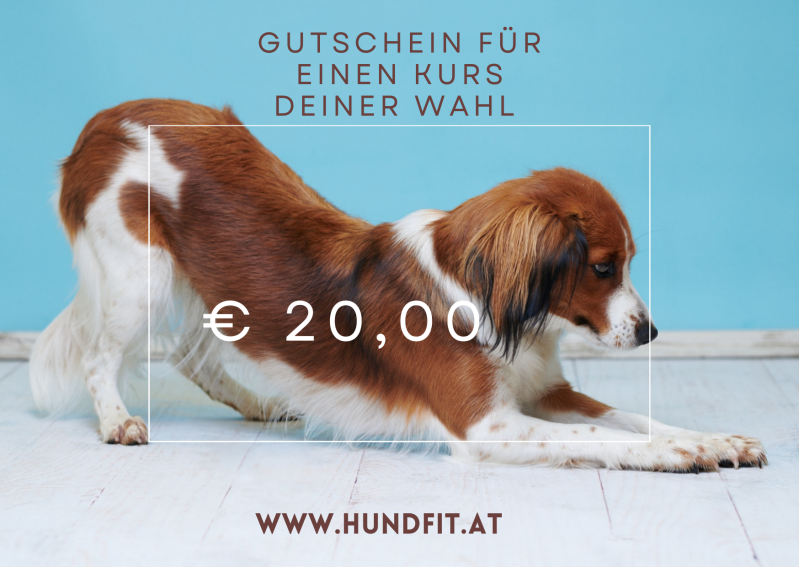 Hundfit, Gutschein, Homeschooling, Homeschooling, Gutschein, Weihnachtsgeschenk, Hundeturnen, Hundfit-Trick-Walk, Lacki-Fitness, Hundehotel, Hundefitnesstraining, Hundfit-Walk, Merry Fit-Mas, gemeinsam fitte Weihnachten, Adventkalender  für Hunde ohne Lec