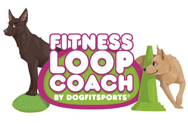 Fitness-Loops, Fitness-Loops-Coach, Dogfitsports, Fitnesstrainer für Hunde, K9 Hydrotraining, Hundeschwimmen, Wassertraining Hund,Mensch-Hund-Turnen, Lacki-Fitness, Hundfit, Hundefitnessschule, Hundefitness, zertifizierte Hundefitnessch