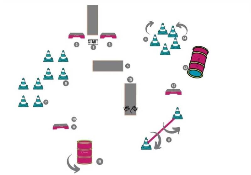 fitnessloops, hundfit, fitnessloops for dogs, zertifizierte Hunde-Fitness-Schule ,Anita Techt