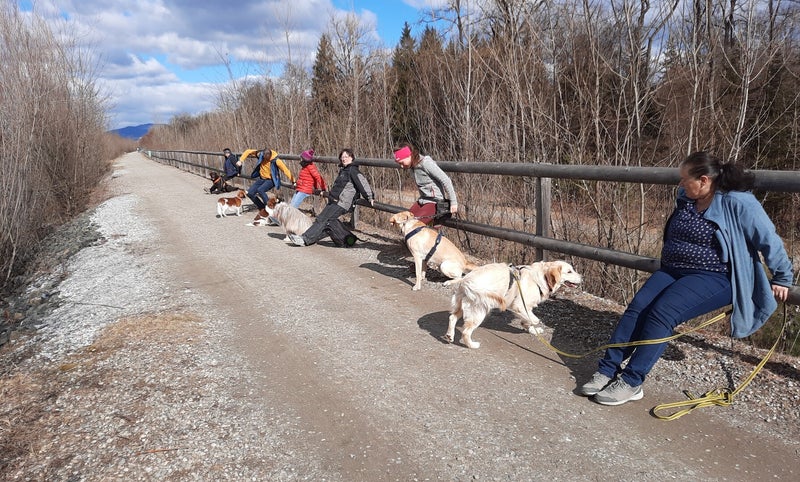 Hundeturnen, Hundfit-Trick-Walk, Lacki-Fitness, Hundehotel, Hundefitnesstraining, Hundfit-Walk, Merry Fit-Mas, gemeinsam fitte Weihnachten, Adventkalender  für Hunde ohne Leckerlis, Welpentraining, Cavaletti-Training,  Trainingsraum Natur, Hundefitnesssch