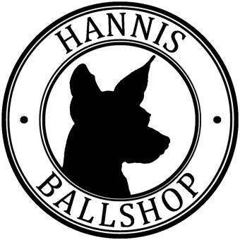 Hundfitadventchallenge, Hundfitchampion,Futterbar, Hundefitnesstraining, Hundfit-Walk, Merry Fit-Mas, gemeinsam fitte Weihnachten, Adventkalender  für Hunde ohne Leckerlis, Welpentraining, Cavaletti-Training, HundFit-Walk, Trainingsraum Natur, 