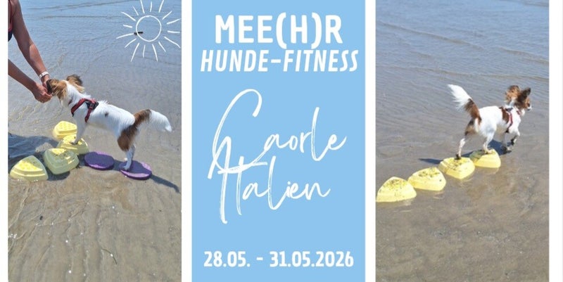 Trainingsferien, Mee(hr) Fitness, HundFIT goes Caorle, Fitnesstraining für Hund und Halter, Urlaub am Meer