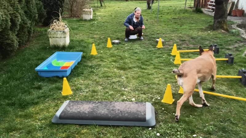 Fitness-Puzzle, Schachtelkurs, Homeschooling, HundFIT durch den Winter, Hundefitnessschule, Hundfit, Hundefitnesstraining, Hundeturnen, Hundfit, Hundefitnessschule, Lackifitness, Lacki-Fitness, Hundfit durch den Winter, Hundefitnesstraining, Hundefitness,