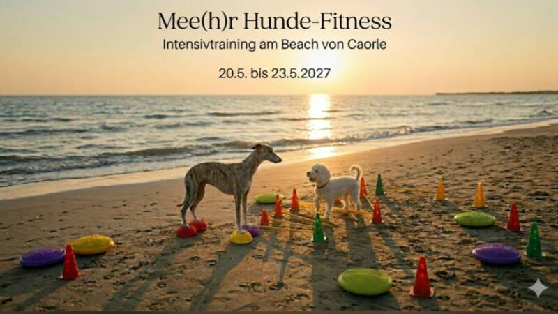 Trainingsferien, HundFIT, Hundeturnen, Mee(hr) Hunde-Fitness, Caorle, Das Eisenberg, Mensch-Hund-Team