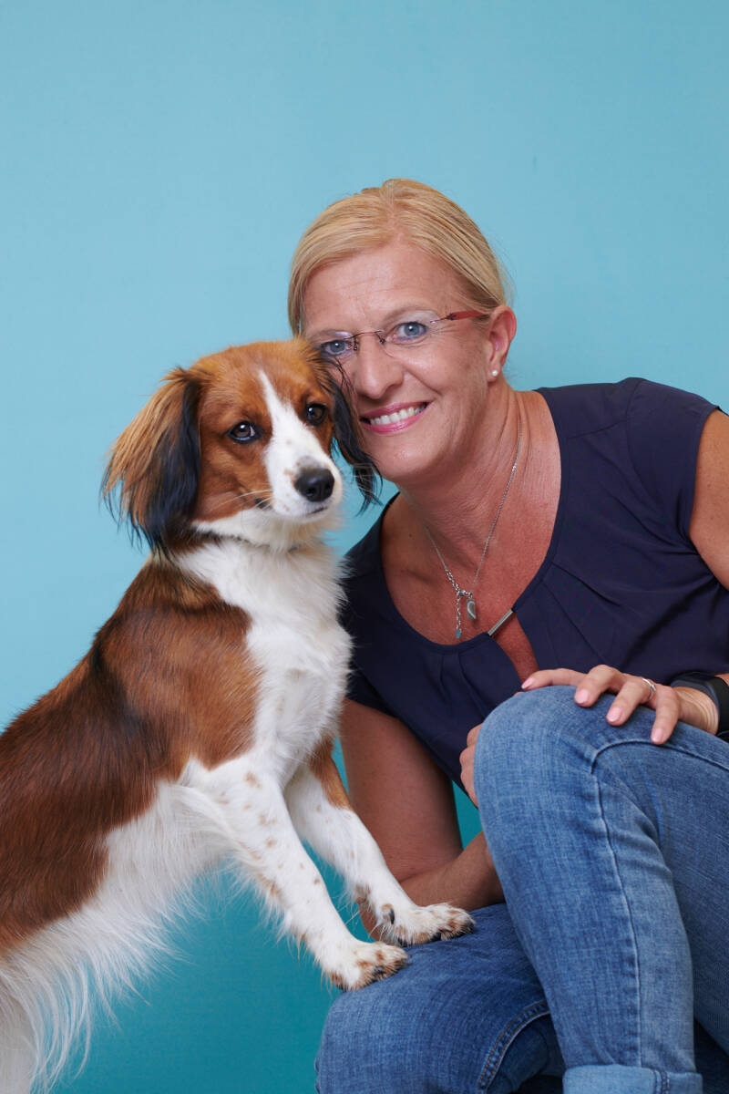 Merry Fit-Mas, gemeinsam fitte Weihnachten, Adventkalender  für Hunde ohne Leckerlis, Welpentraining, Cavaletti-Training, HundFit-Walk, Trainingsraum Natur, Trainingsraum Wald, Fitnesstraining für den Hund, Hundfit, Hundefitnessschule, Hundefitness, Fitne