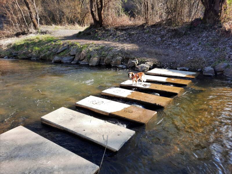 Hotel Loisium Ehrenhausen, Hundfit-Trick-Walk, Lacki-Fitness, Hundehotel, Hundefitnesstraining, Hundfit-Walk, Merry Fit-Mas, gemeinsam fitte Weihnachten, Adventkalender  für Hunde ohne Leckerlis, Welpentraining, Cavaletti-Training,  Trainingsraum Natur, H