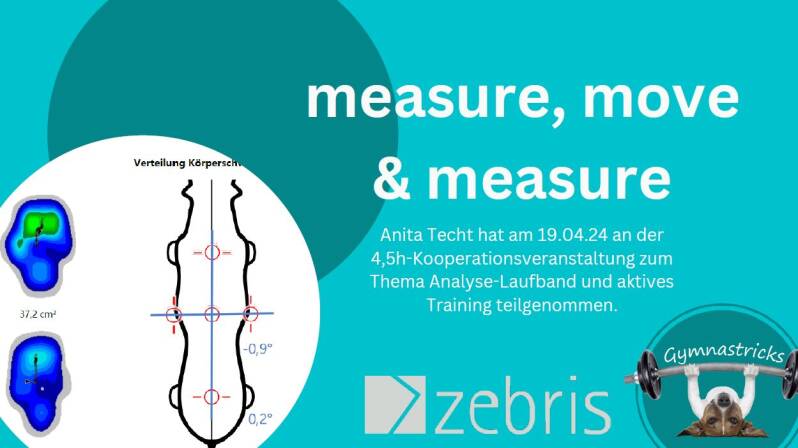 Gymnastricks, Zebris, Hunde-Fitness-Schule, Newcomer, Sozialisierung, Grundgehorsam, Verhaltenskorrekturen, Alltagstauglichkeit, Hundefitness, Gesundheit, langes Leben, HundFIT