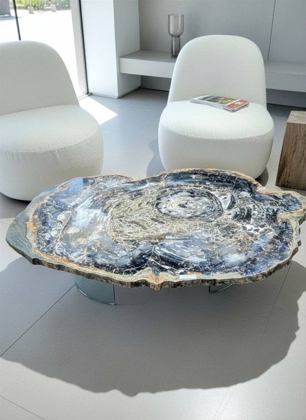 Table basse "New Georgia", bois fossilisé d'Arizona