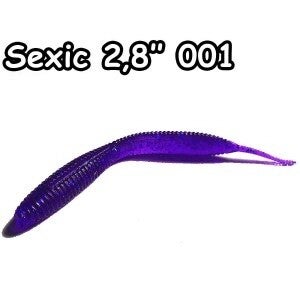 Sexic 2.8” 12gb