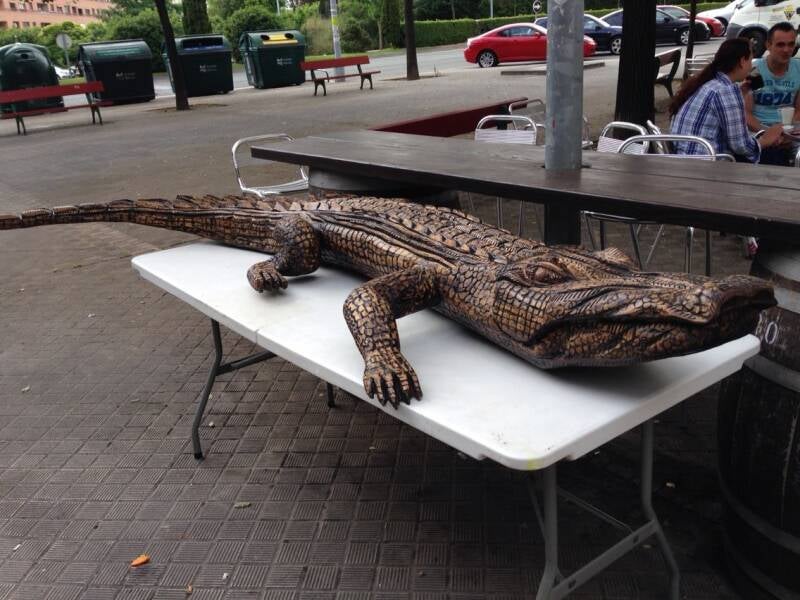 cocodrilo2jpg.jpg