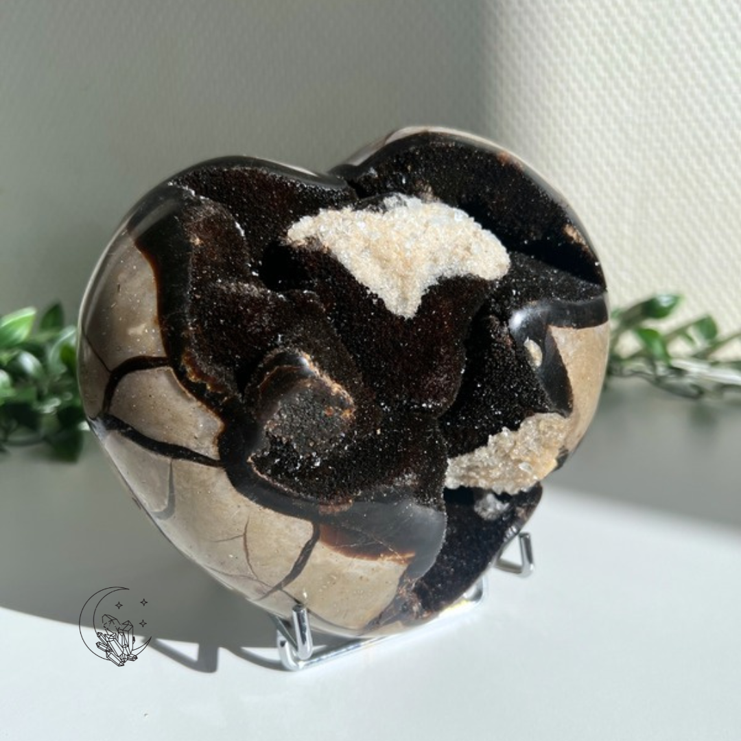Coeur Septaria (Piece unique)