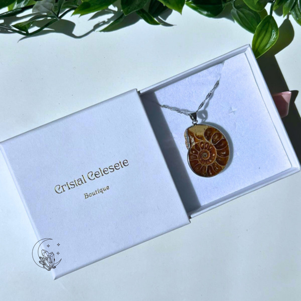 Pendentif en ammonite