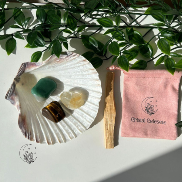 Kit Abondance Financière