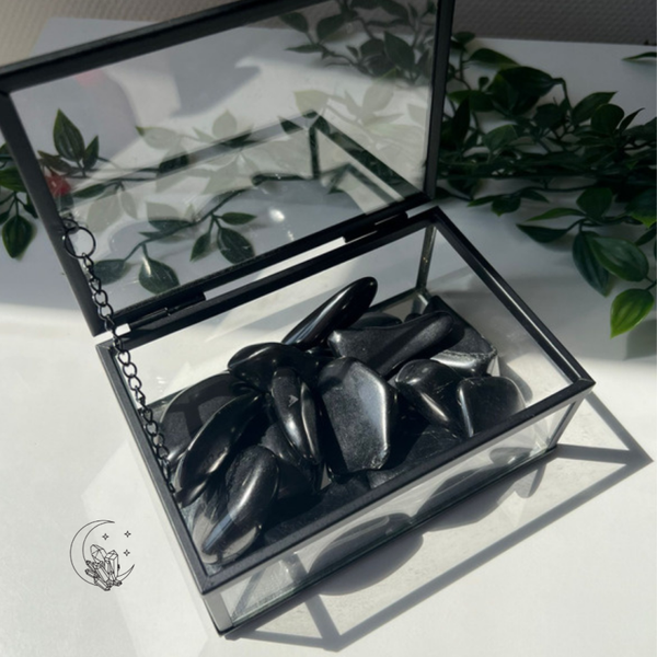 Shungite pierres roulées