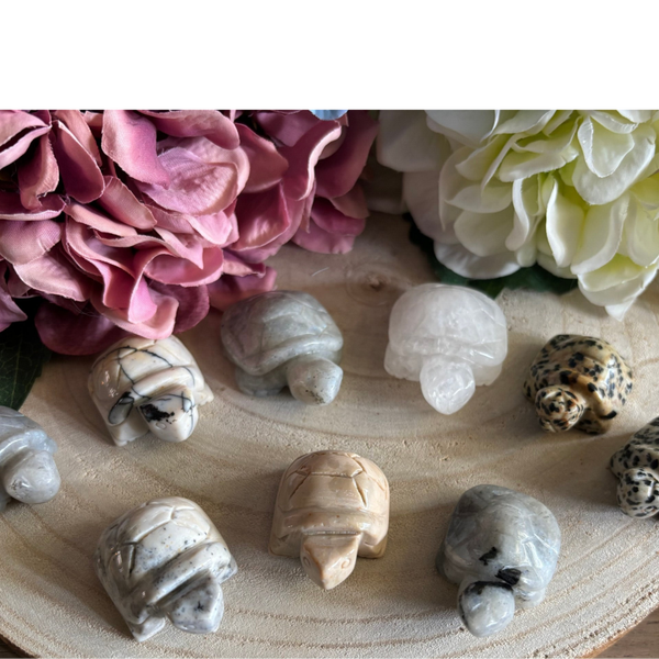 Edelsteen schildpadden