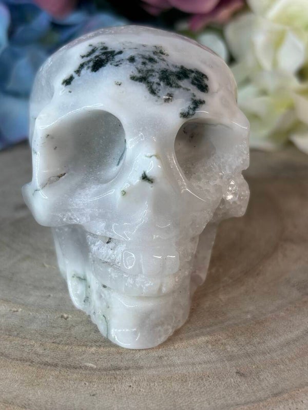 Mosagaat skull