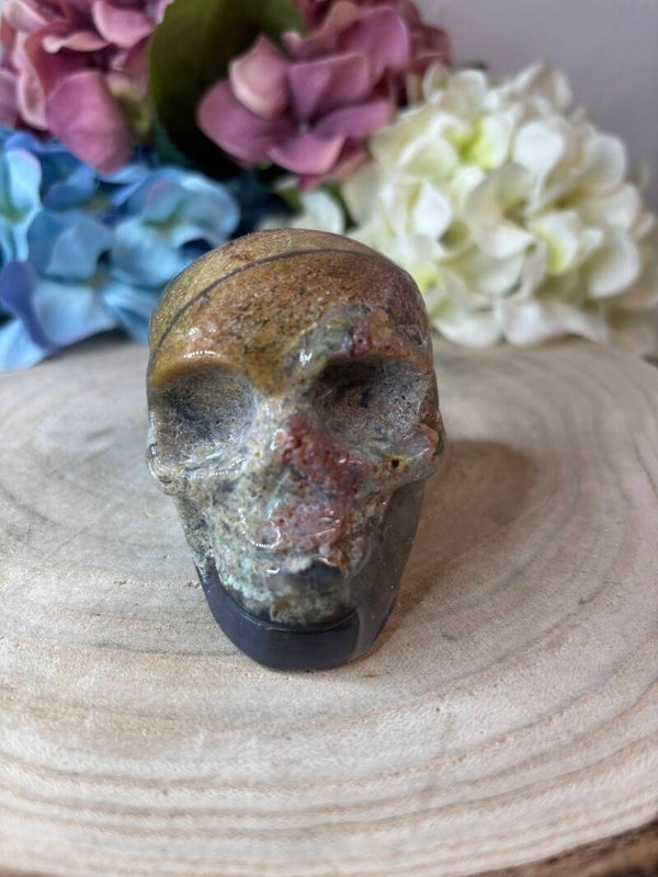 Mosagaat skull