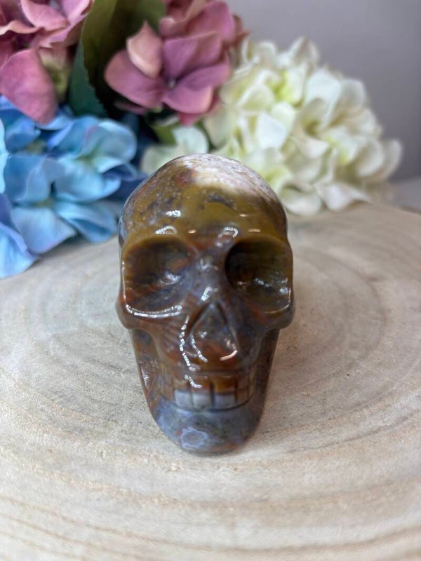 Oceaan jaspis skull 6