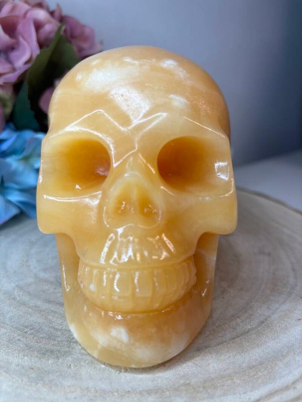 Calciet skull