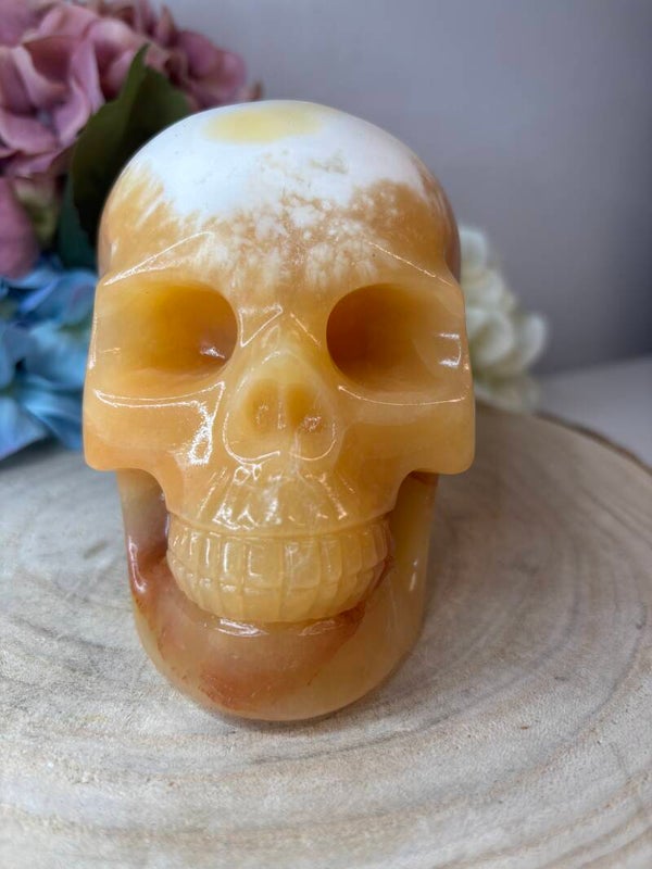 Calciet skull