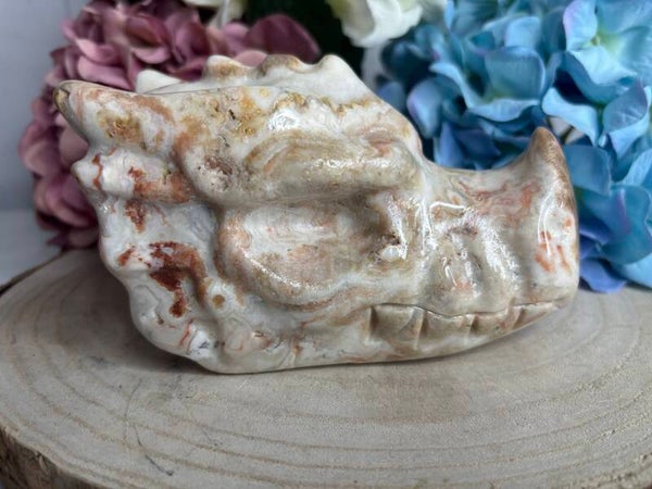 Calciet draak