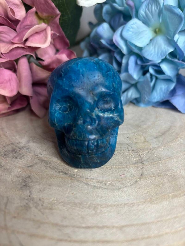 Apatiet skull 4