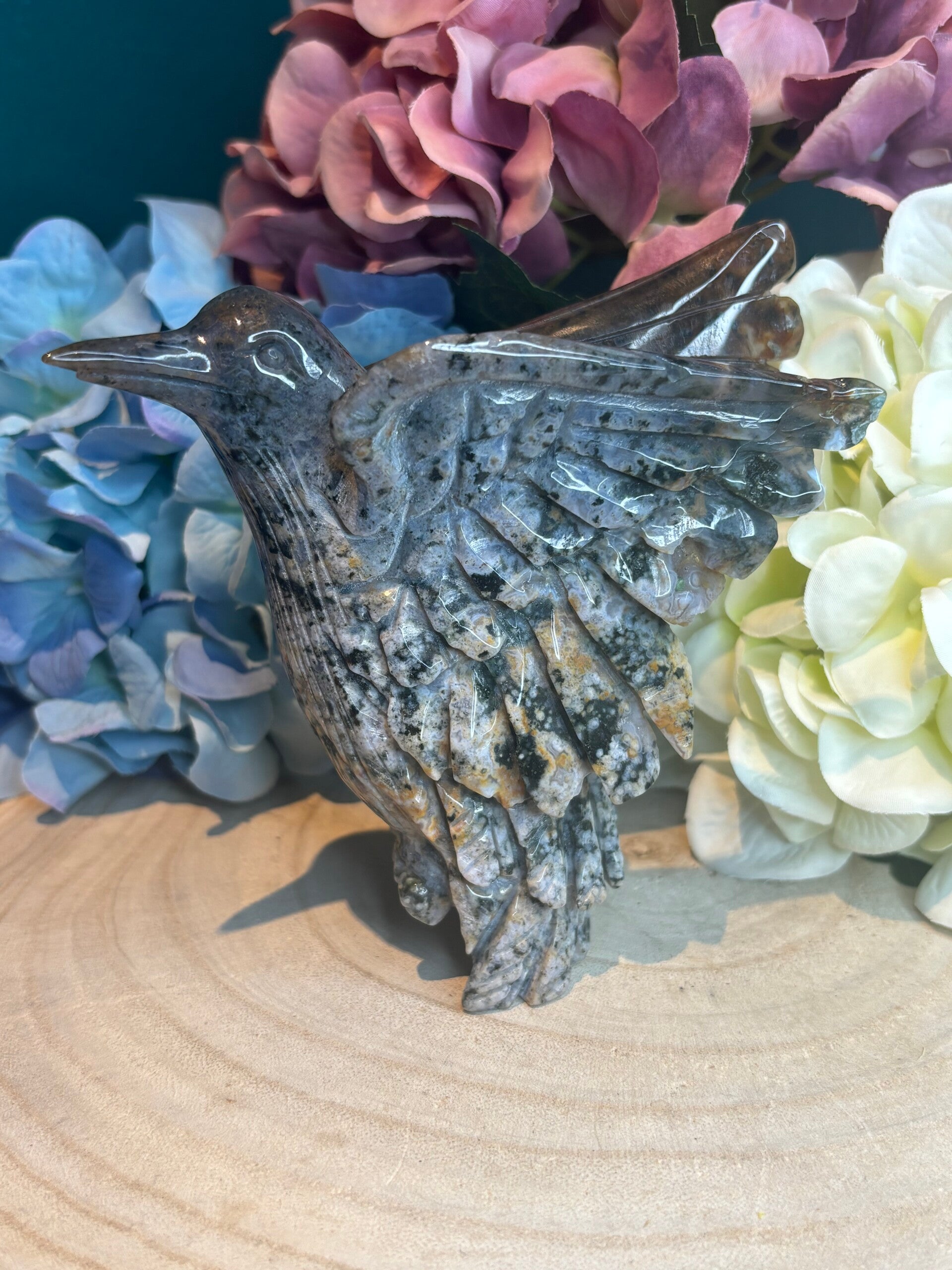 Oceaan jaspis hummingbird